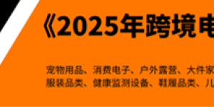 任小姐出海战略咨询｜避开巨头竞争，中国跨境卖家智能家居破局之道