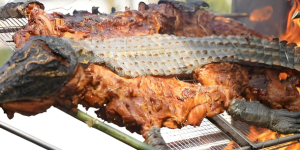 海南东方鳄珍鳄鱼园获评国家 3A 级旅游景区