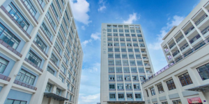 美思康宸溪皇薏湿茶上市十周年：以全产业链坚守诠释长期主义